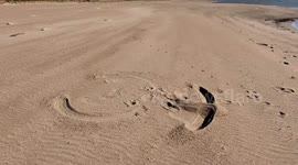 Weather watcher explores drought-stricken Mississippi River as water-levels hit record low