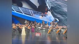 Singer wildly out of tune performs Celine Dion classic at hospital in China