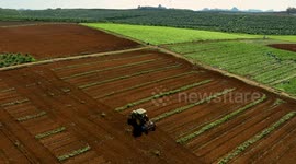 Autumn Farmland Scenery in Nanning, China