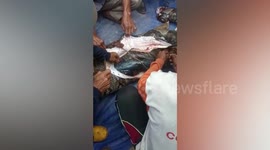 Grandmother, 54, eaten alive by 22-foot-long python in Indonesia