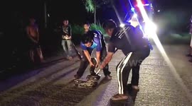 Large python flushed out by floods was caught on road in Thailand