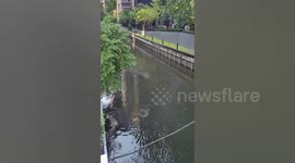 Mystery ‘river monster’ turns out to be floating plastic trash caught on stick in Thai canal