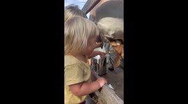 Little girl is trying to show her little sister how to milk a goat.