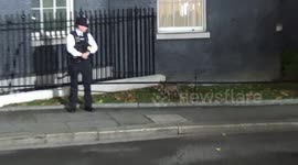 Fox enters Downing Street as Rishi Sunak forms his cabinet