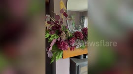 Mum creates high-end expensive-looking floral arrangements for just £12