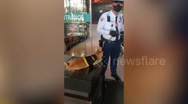 Adorable 'K10' cat guard amuses shopping mall visitors in the Philippines