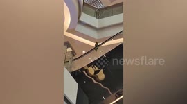 Fun-loving pet parrot enjoys ride on escalator handrails in shopping mall