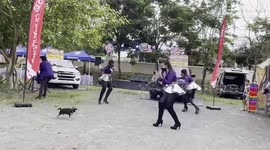 Puppy interrupts girls dancing at shop promotion in Thailand