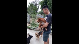 The dog has various expressions when in the man's hand and in the yard