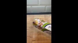 Pulled pork nacho pin wheels