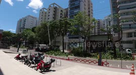 Tree cutting in sunny weather in the city of Vitória-ES, the heat will take its toll!