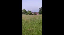 Chicko my little dog husky. I never forget him. It was my best friend.