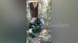 Strong Chinese man carries more than 300kg wood to walk down mountain