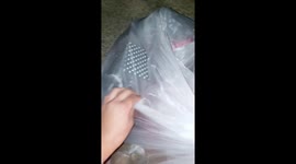 Dumpster-diving mum earns thousands trawling through landfills