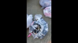 Dumpster-diving mum, 31, earns over £5,000 within SECONDS though controversial hobby