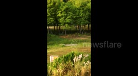 Yongjiang Nanan Park lighthouse in Nanning City, China