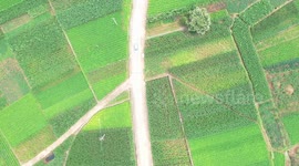 Drone Footage Of Green Farmland in Zaozhuang, China