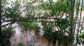 A FLASH FLOOD During typhoon*PAENG* *