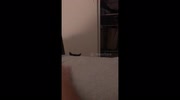 temp