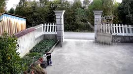 萌娃不小心坐进筐里出不来 奶奶哈哈大笑拍照记录