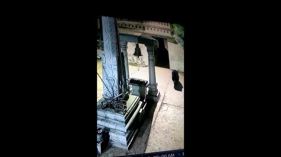 Curious bear cub rings bell at temple in southern India