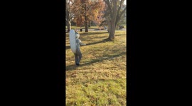 Man dressed as giant squirrel hand-feeds squirrel he nursed back to health