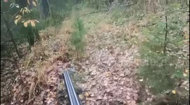 Russian hunter remains calm despite mother bear charging at him