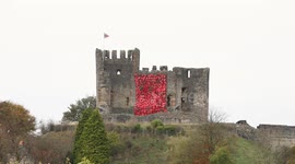 Cascade of poppies unveiled at England's Dudley Castle as Remembrance tribute to fallen soldiers