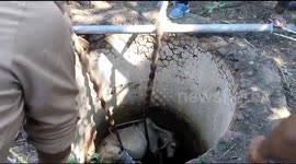 Cow rescued from well after three days
