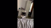 temp