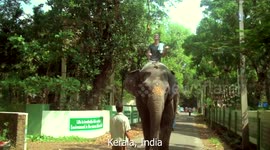 Amazing juggling in over 100 countries - International Juggler 2015