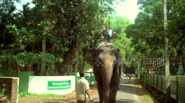 International Juggler 2015 - without music or titles