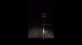 Sign About to Fly Away