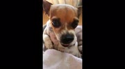 temp
