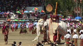 Surin Elephant Spectacular