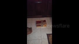 New style to open parcel