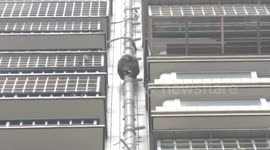 Runaway monkey scales apartment building in China