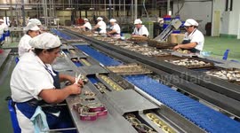 Portuguese sardines in massive decline due to climate - scientists