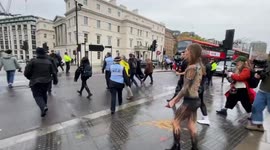 Half-naked woman covered in body paint walks across London to protect swifts