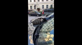 Cute cats sleep hugging on the hood of the car