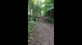 Boy biking in the woods