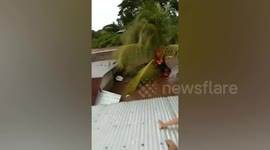 Terrified residents cry for help while trapped on flooded home roofs in the Philippines