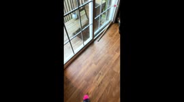 'Just purrrrfect!' - Woman delighted by presence of kitty family in her backyard