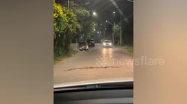 Massive 10ft-long python holds up cars as it slithers across road in Thailand