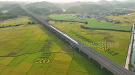 A Train Passing Through An Artistic Rice Field in Yulin, China