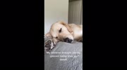 temp