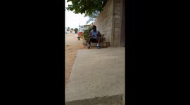 Martial arts and stunt performing. Capoeira , Breaking and calisthenics.