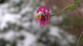 Paducah, KY Wakes Up To First Snow Of The Cold Season After Spring-Like Weather In Western Kentucky