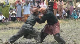 Indonesian martial artists demonstrate ancient silat fighting skills in muddy rice field
