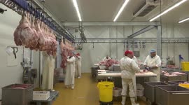Pork production price rises amid crisis In Srpski Itebej, Serbia